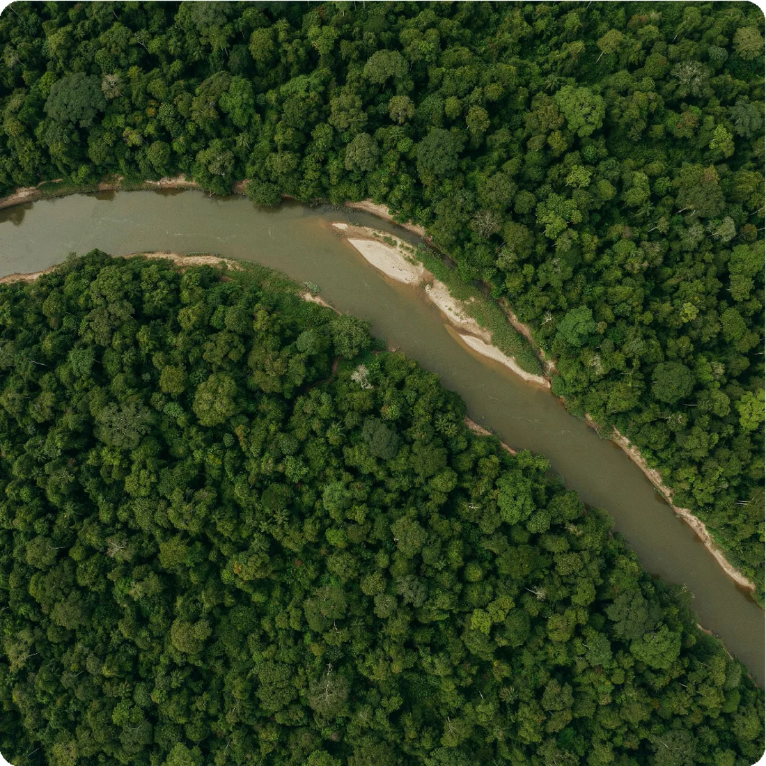 Vista aérea de floresta amazônica cortada por um rio